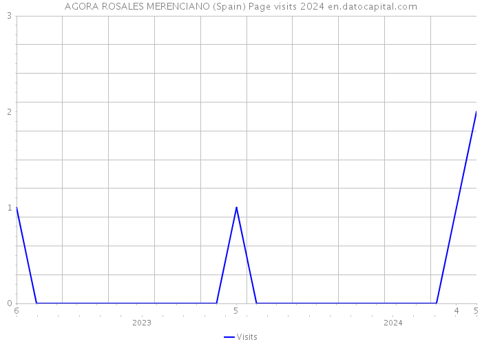 AGORA ROSALES MERENCIANO (Spain) Page visits 2024 