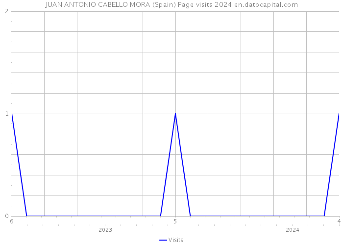 JUAN ANTONIO CABELLO MORA (Spain) Page visits 2024 
