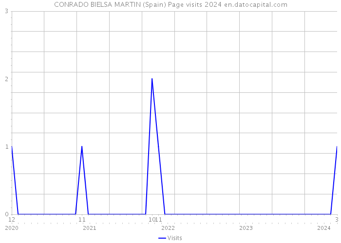 CONRADO BIELSA MARTIN (Spain) Page visits 2024 