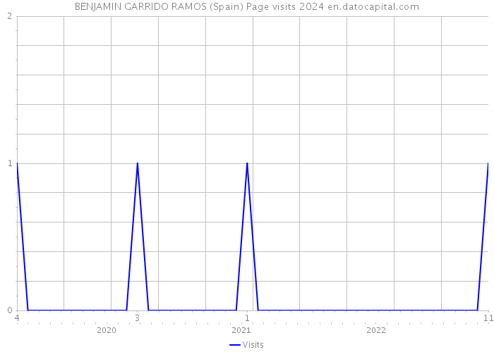 BENJAMIN GARRIDO RAMOS (Spain) Page visits 2024 