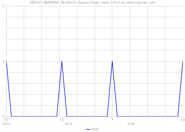 SERGIO BERMEJO BLANCO (Spain) Page visits 2024 