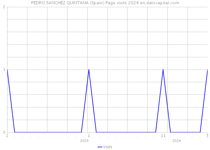 PEDRO SANCHEZ QUINTANA (Spain) Page visits 2024 
