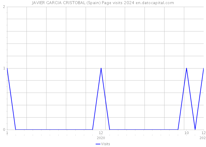 JAVIER GARCIA CRISTOBAL (Spain) Page visits 2024 
