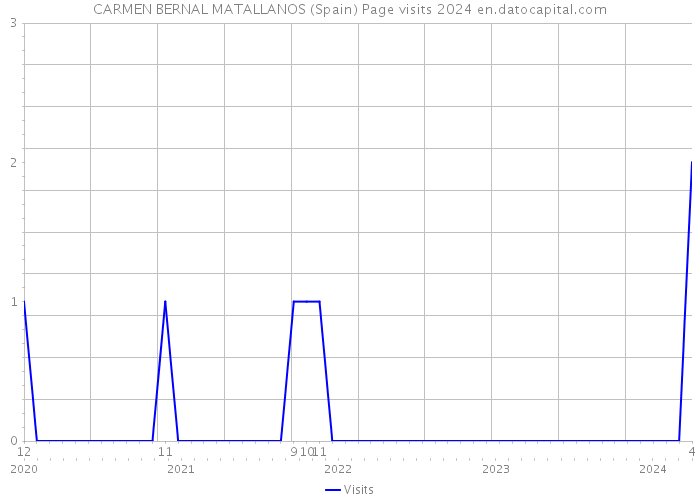 CARMEN BERNAL MATALLANOS (Spain) Page visits 2024 