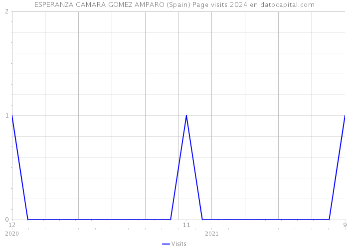 ESPERANZA CAMARA GOMEZ AMPARO (Spain) Page visits 2024 