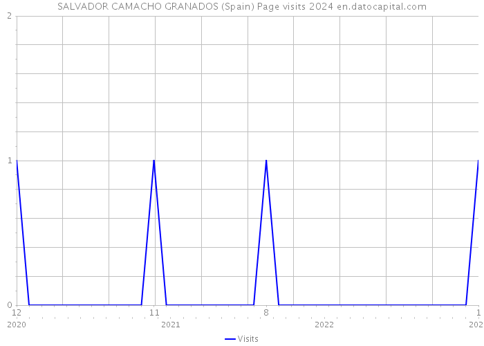 SALVADOR CAMACHO GRANADOS (Spain) Page visits 2024 