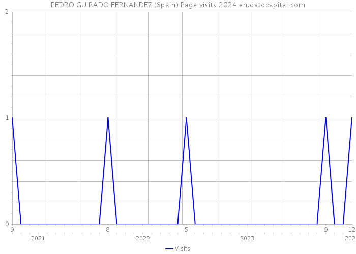 PEDRO GUIRADO FERNANDEZ (Spain) Page visits 2024 