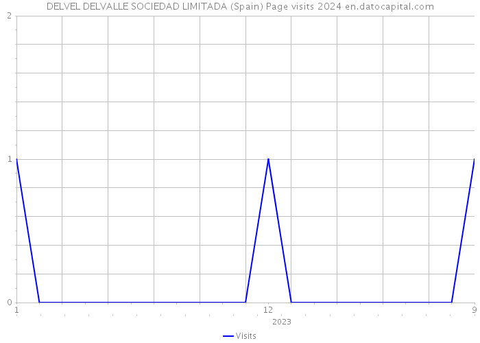 DELVEL DELVALLE SOCIEDAD LIMITADA (Spain) Page visits 2024 