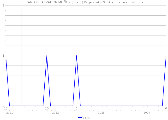 CARLOS SALVADOR MUÑOZ (Spain) Page visits 2024 