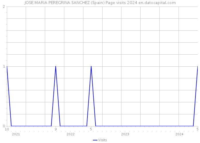 JOSE MARIA PEREGRINA SANCHEZ (Spain) Page visits 2024 