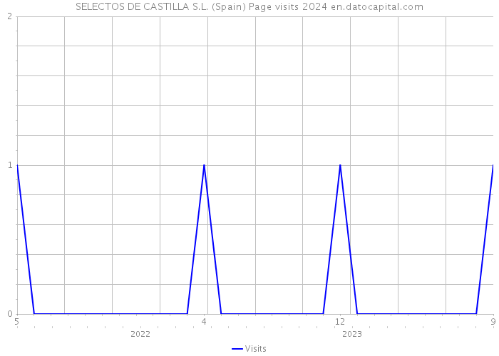 SELECTOS DE CASTILLA S.L. (Spain) Page visits 2024 