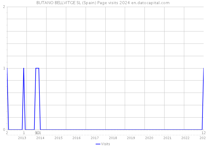 BUTANO BELLVITGE SL (Spain) Page visits 2024 