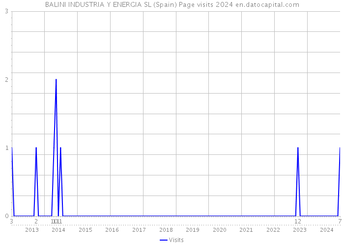 BALINI INDUSTRIA Y ENERGIA SL (Spain) Page visits 2024 