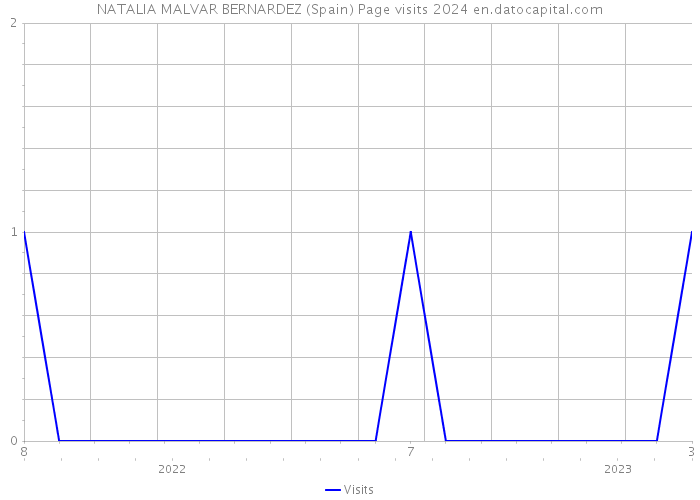 NATALIA MALVAR BERNARDEZ (Spain) Page visits 2024 