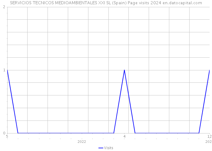 SERVICIOS TECNICOS MEDIOAMBIENTALES XXI SL (Spain) Page visits 2024 