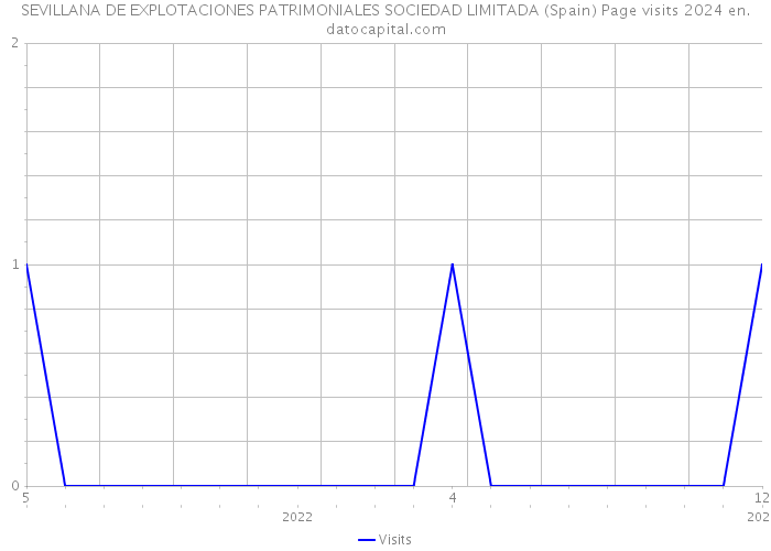 SEVILLANA DE EXPLOTACIONES PATRIMONIALES SOCIEDAD LIMITADA (Spain) Page visits 2024 