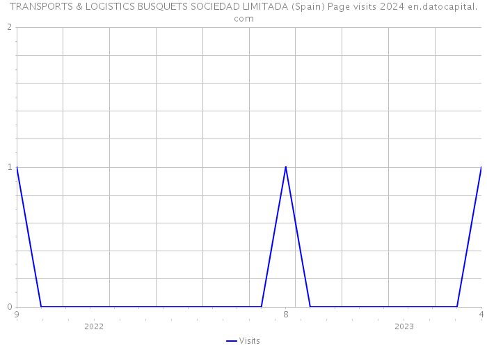 TRANSPORTS & LOGISTICS BUSQUETS SOCIEDAD LIMITADA (Spain) Page visits 2024 