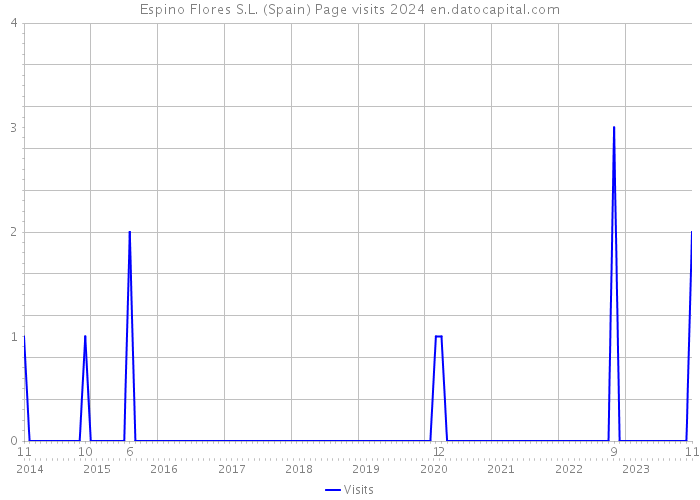 Espino Flores S.L. (Spain) Page visits 2024 