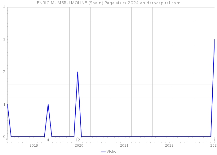 ENRIC MUMBRU MOLINE (Spain) Page visits 2024 