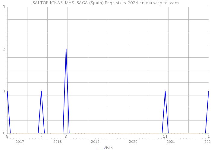 SALTOR IGNASI MAS-BAGA (Spain) Page visits 2024 