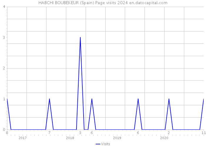 HABCHI BOUBEKEUR (Spain) Page visits 2024 