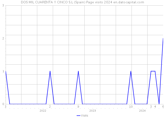 DOS MIL CUARENTA Y CINCO S.L (Spain) Page visits 2024 