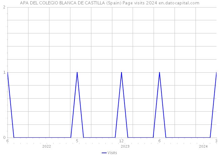 APA DEL COLEGIO BLANCA DE CASTILLA (Spain) Page visits 2024 