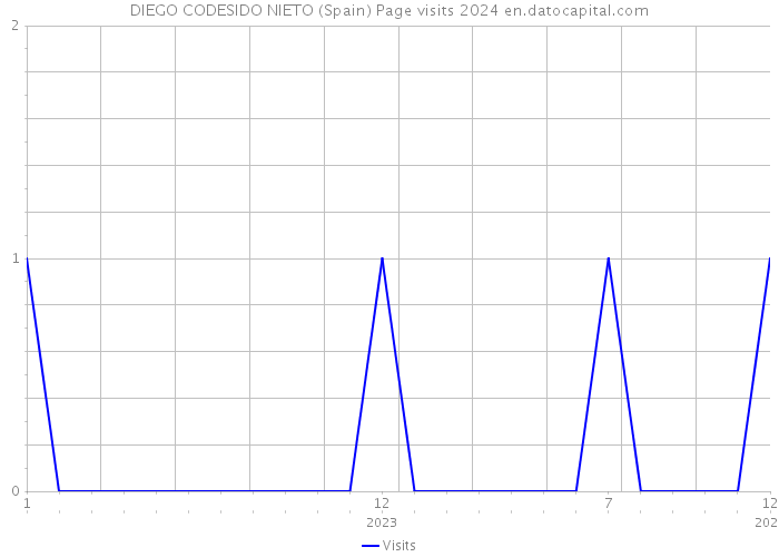 DIEGO CODESIDO NIETO (Spain) Page visits 2024 