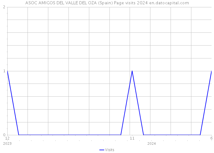 ASOC AMIGOS DEL VALLE DEL OZA (Spain) Page visits 2024 