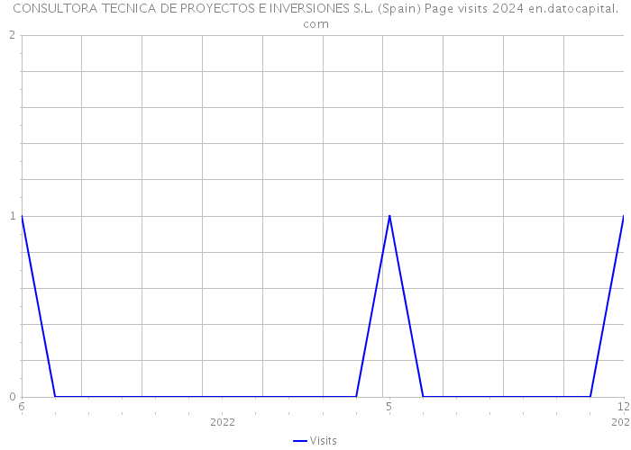 CONSULTORA TECNICA DE PROYECTOS E INVERSIONES S.L. (Spain) Page visits 2024 