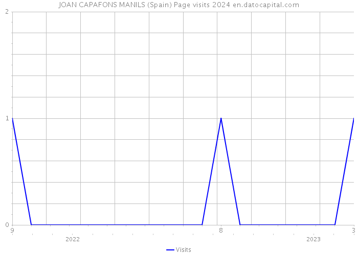 JOAN CAPAFONS MANILS (Spain) Page visits 2024 