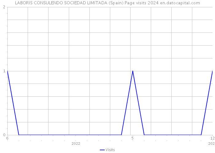 LABORIS CONSULENDO SOCIEDAD LIMITADA (Spain) Page visits 2024 