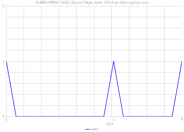 RUBEN PEREZ SAEZ (Spain) Page visits 2024 