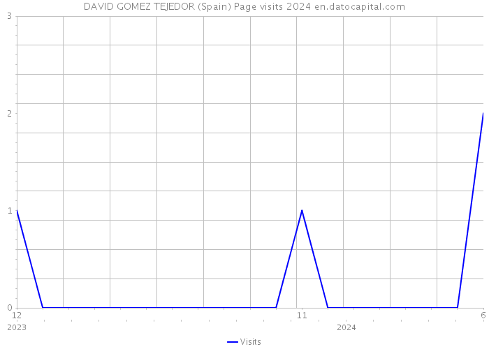 DAVID GOMEZ TEJEDOR (Spain) Page visits 2024 