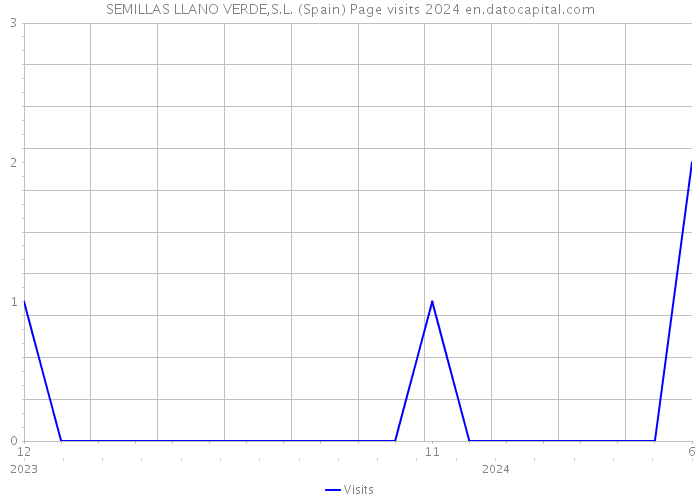 SEMILLAS LLANO VERDE,S.L. (Spain) Page visits 2024 