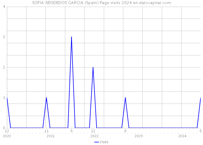 SOFIA SEISDEDOS GARCIA (Spain) Page visits 2024 