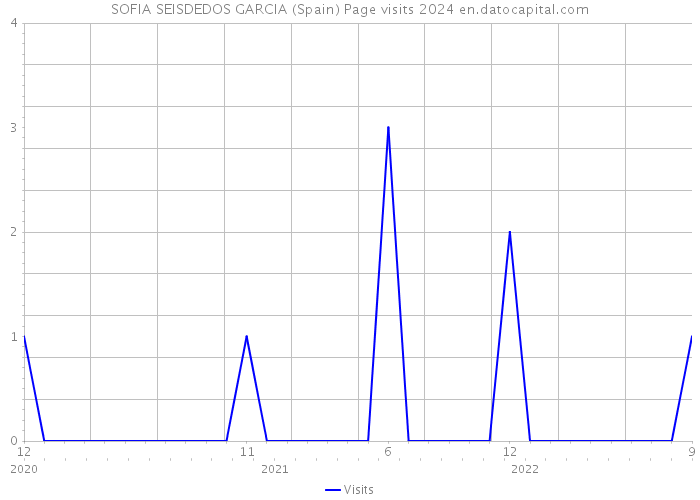 SOFIA SEISDEDOS GARCIA (Spain) Page visits 2024 