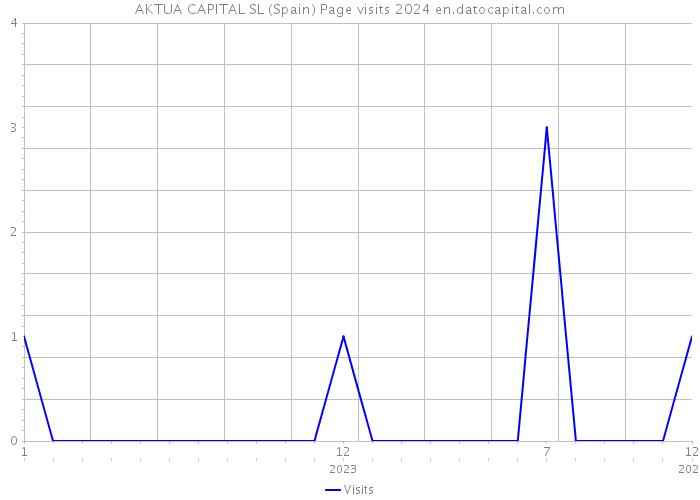 AKTUA CAPITAL SL (Spain) Page visits 2024 