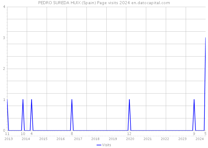 PEDRO SUREDA HUIX (Spain) Page visits 2024 