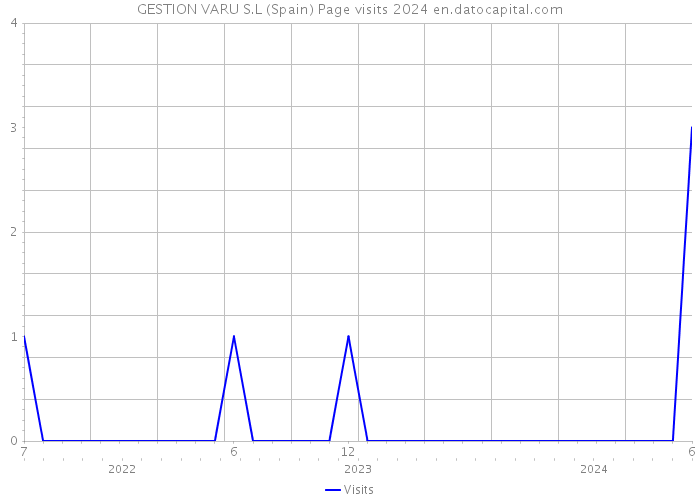 GESTION VARU S.L (Spain) Page visits 2024 