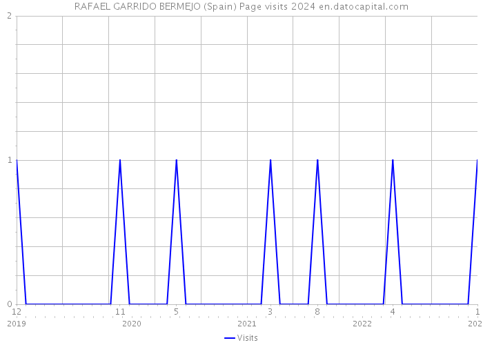 RAFAEL GARRIDO BERMEJO (Spain) Page visits 2024 
