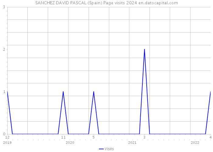 SANCHEZ DAVID PASCAL (Spain) Page visits 2024 