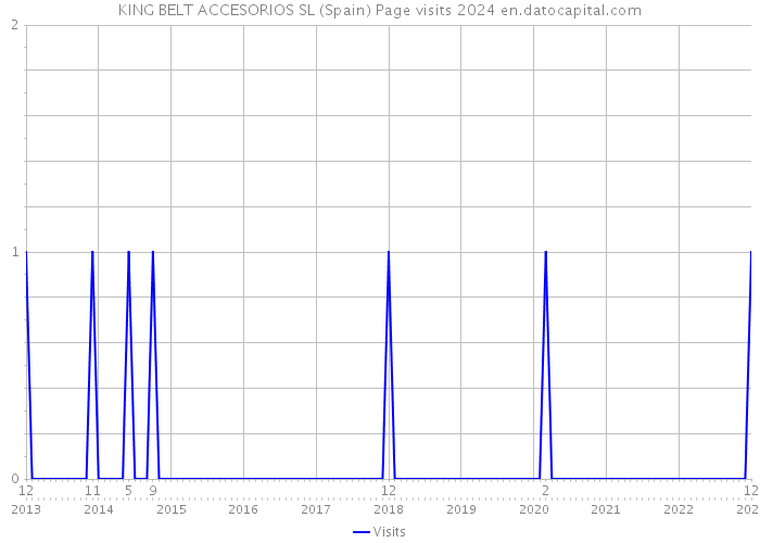 KING BELT ACCESORIOS SL (Spain) Page visits 2024 