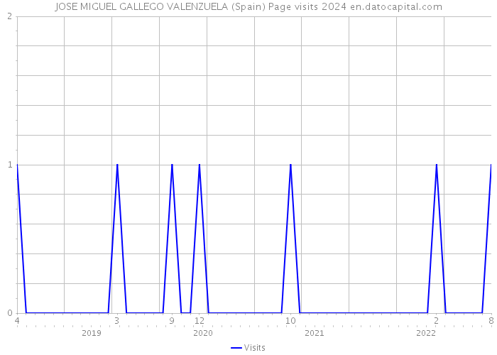 JOSE MIGUEL GALLEGO VALENZUELA (Spain) Page visits 2024 