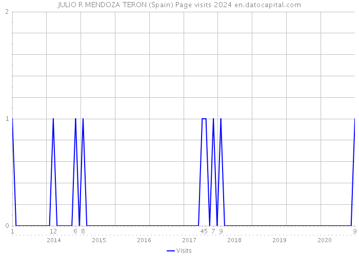 JULIO R MENDOZA TERON (Spain) Page visits 2024 