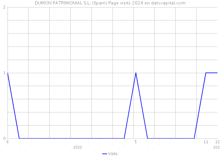 DUMON PATRIMONIAL S.L. (Spain) Page visits 2024 