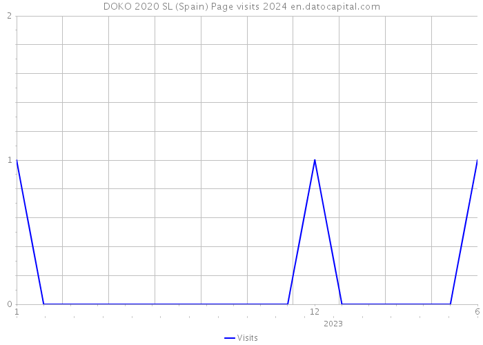 DOKO 2020 SL (Spain) Page visits 2024 