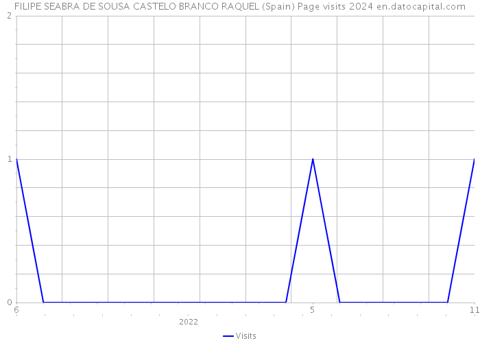 FILIPE SEABRA DE SOUSA CASTELO BRANCO RAQUEL (Spain) Page visits 2024 