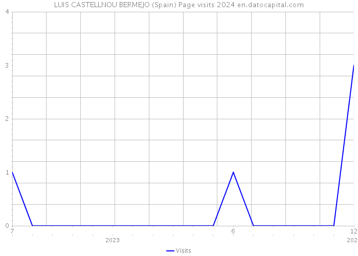 LUIS CASTELLNOU BERMEJO (Spain) Page visits 2024 