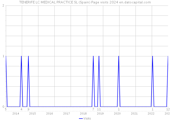 TENERIFE LC MEDICAL PRACTICE SL (Spain) Page visits 2024 